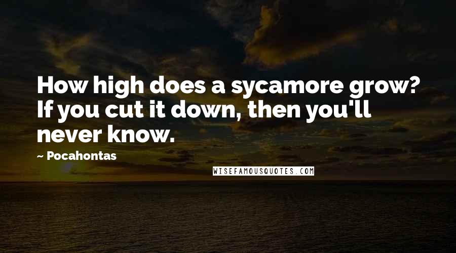 Pocahontas Quotes: How high does a sycamore grow? If you cut it down, then you'll never know.