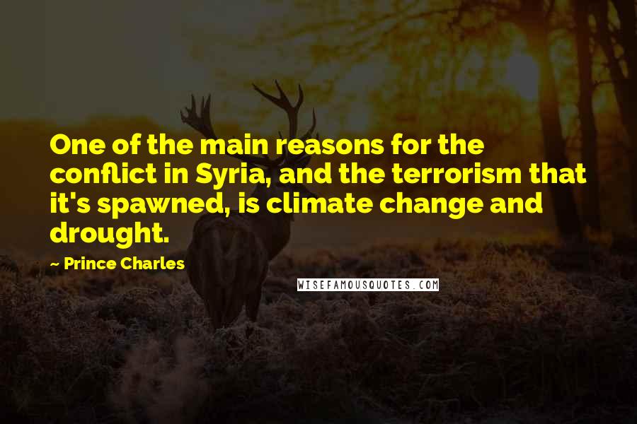 Prince Charles Quotes: One of the main reasons for the conflict in Syria, and the terrorism that it's spawned, is climate change and drought.