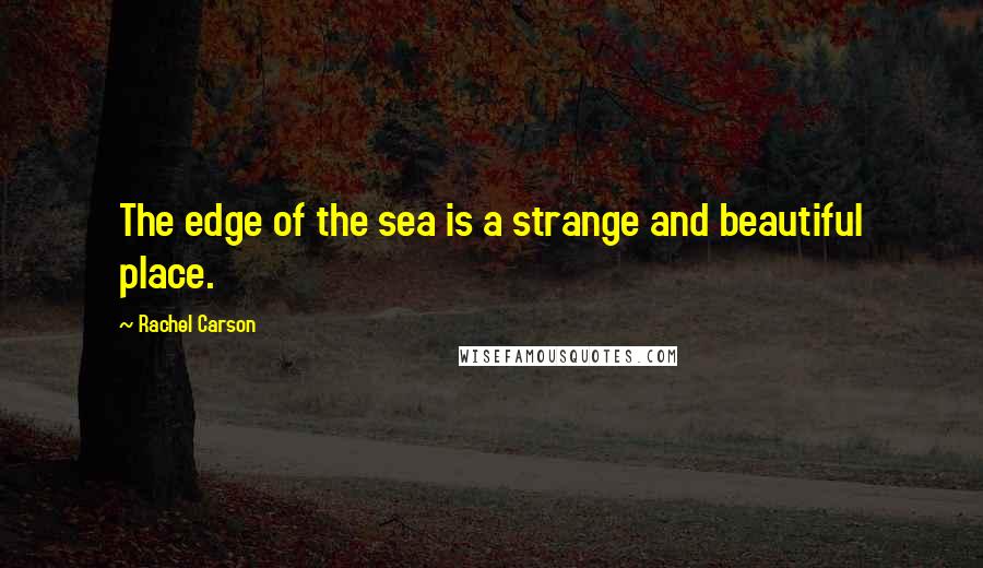 Rachel Carson Quotes: The edge of the sea is a strange and beautiful place.