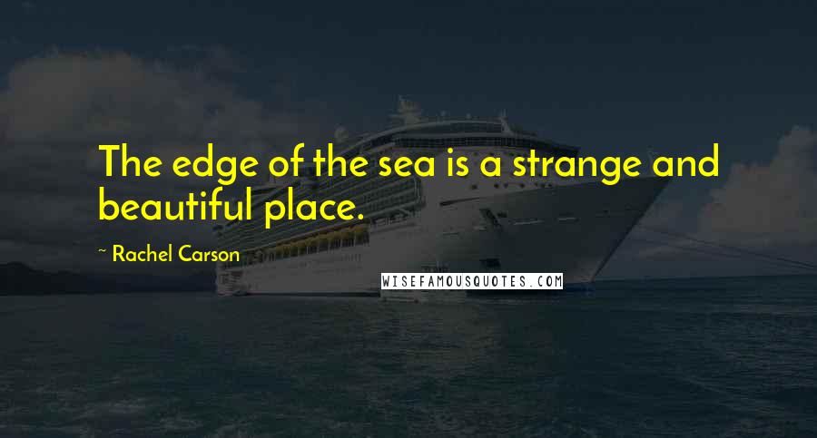 Rachel Carson Quotes: The edge of the sea is a strange and beautiful place.