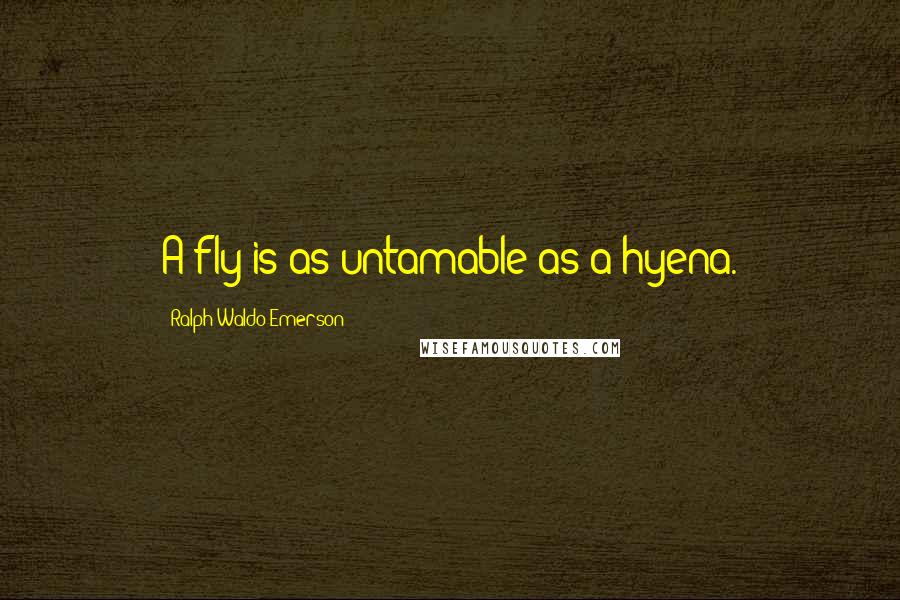 Ralph Waldo Emerson Quotes: A fly is as untamable as a hyena.