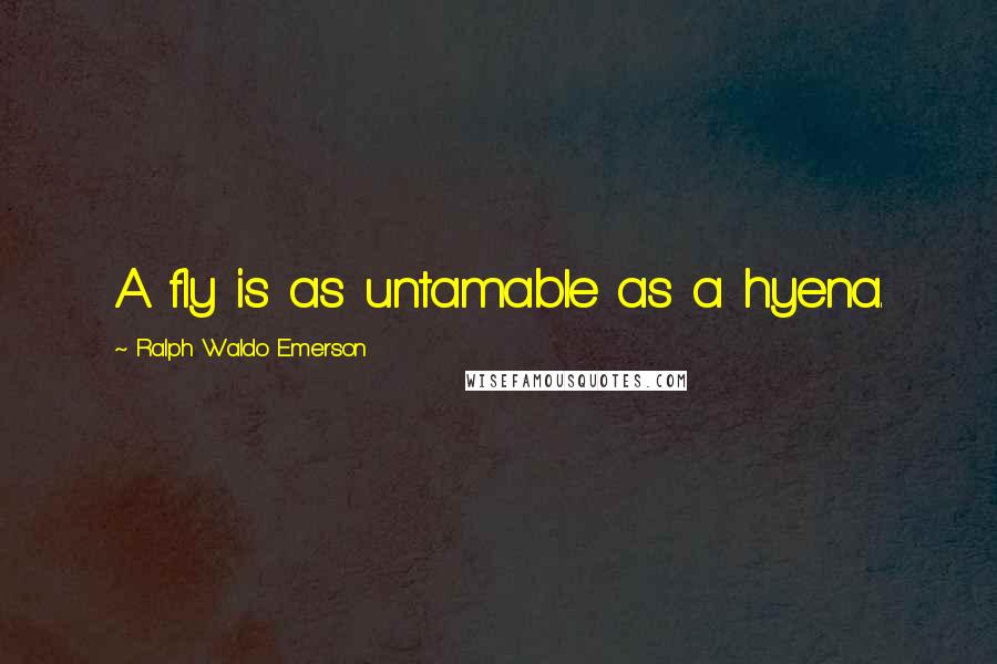 Ralph Waldo Emerson Quotes: A fly is as untamable as a hyena.