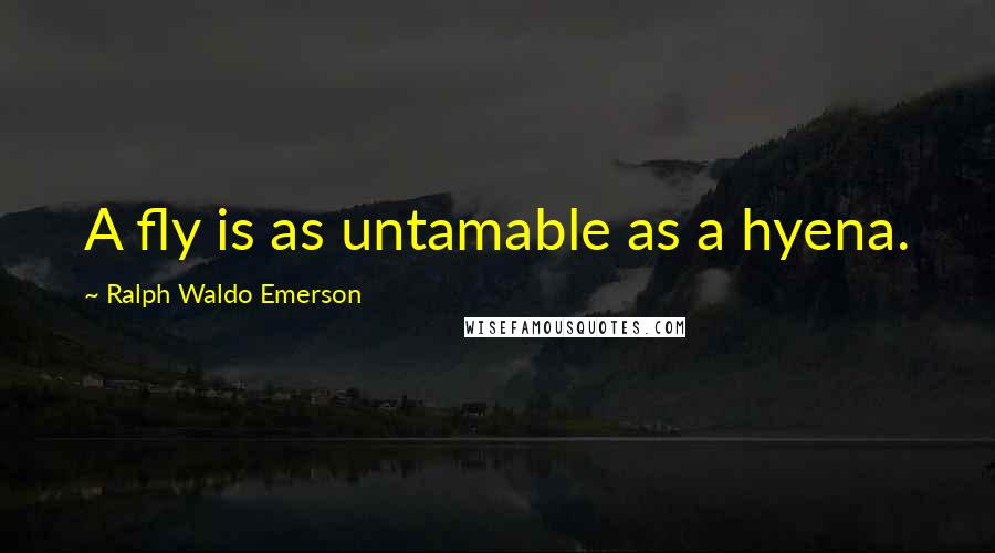 Ralph Waldo Emerson Quotes: A fly is as untamable as a hyena.