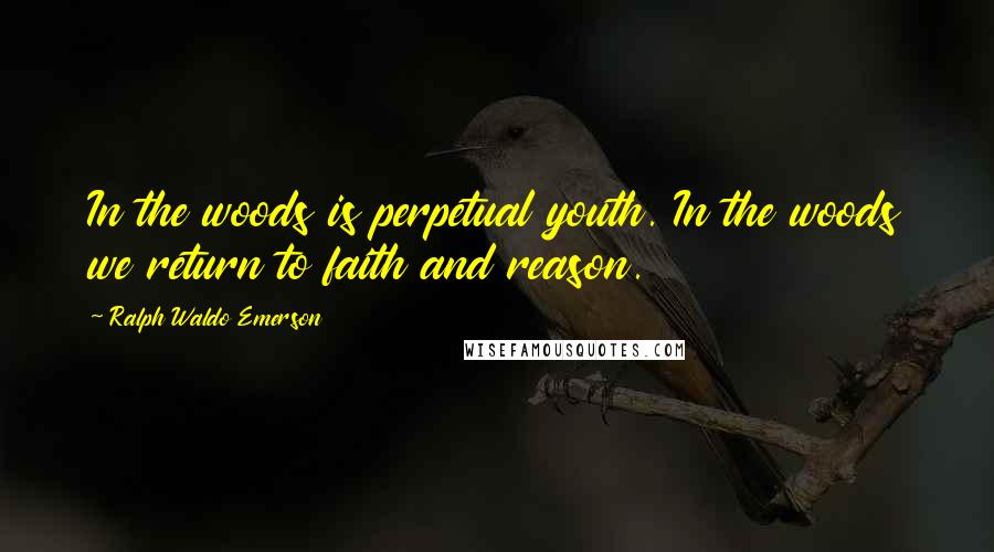 Ralph Waldo Emerson Quotes: In the woods is perpetual youth. In the woods we return to faith and reason.