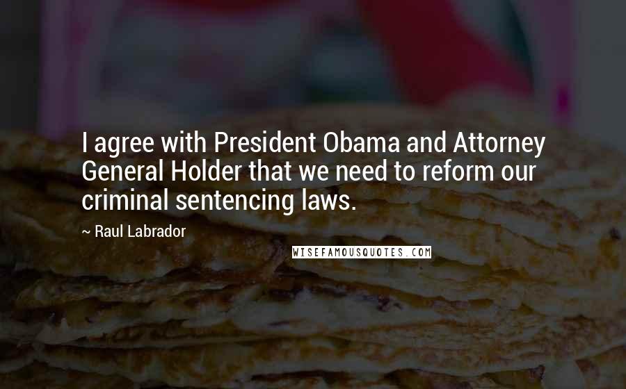 Raul Labrador Quotes: I agree with President Obama and Attorney General Holder that we need to reform our criminal sentencing laws.