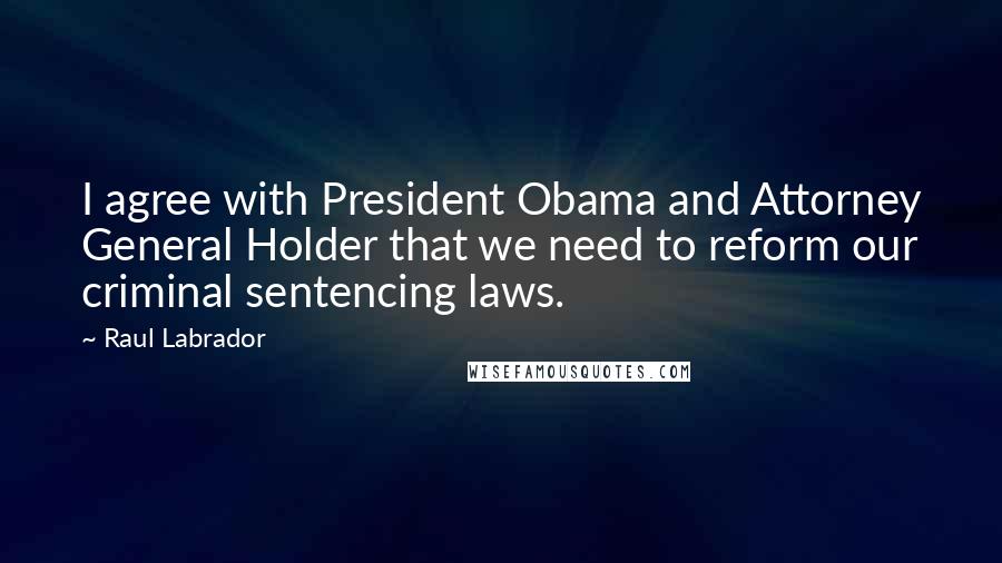 Raul Labrador Quotes: I agree with President Obama and Attorney General Holder that we need to reform our criminal sentencing laws.