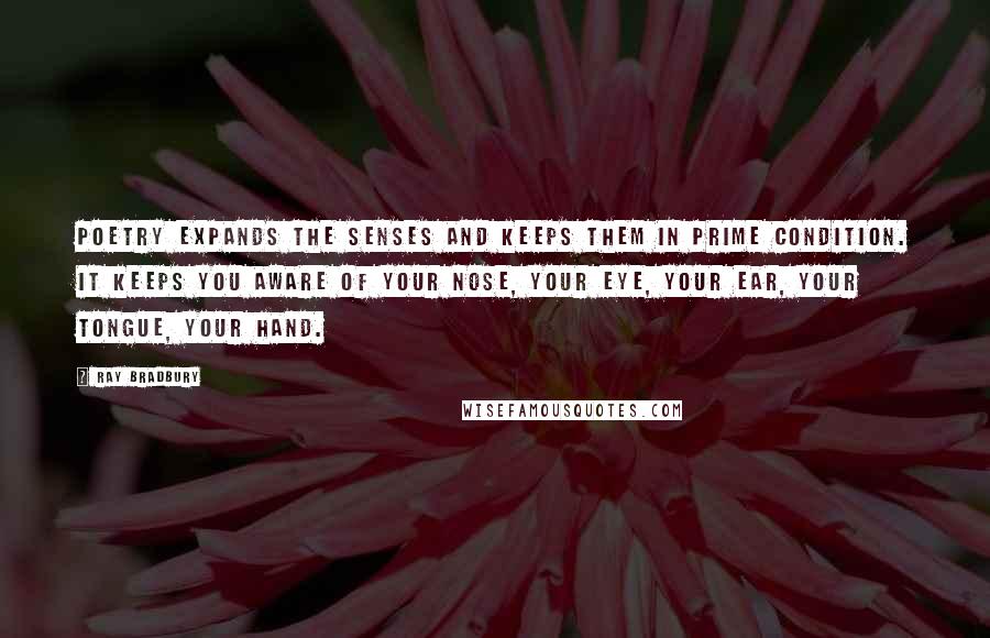 Ray Bradbury Quotes: Poetry expands the senses and keeps them in prime condition. It keeps you aware of your nose, your eye, your ear, your tongue, your hand.