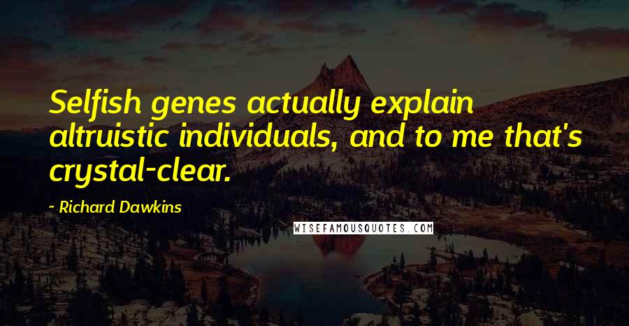 Richard Dawkins Quotes: Selfish genes actually explain altruistic individuals, and to me that's crystal-clear.