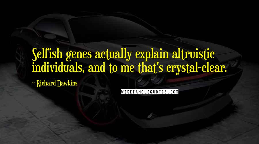 Richard Dawkins Quotes: Selfish genes actually explain altruistic individuals, and to me that's crystal-clear.