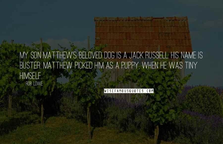 Rob Lowe Quotes: My son Matthew's beloved dog is a Jack Russell. His name is Buster. Matthew picked him as a puppy, when he was tiny himself.