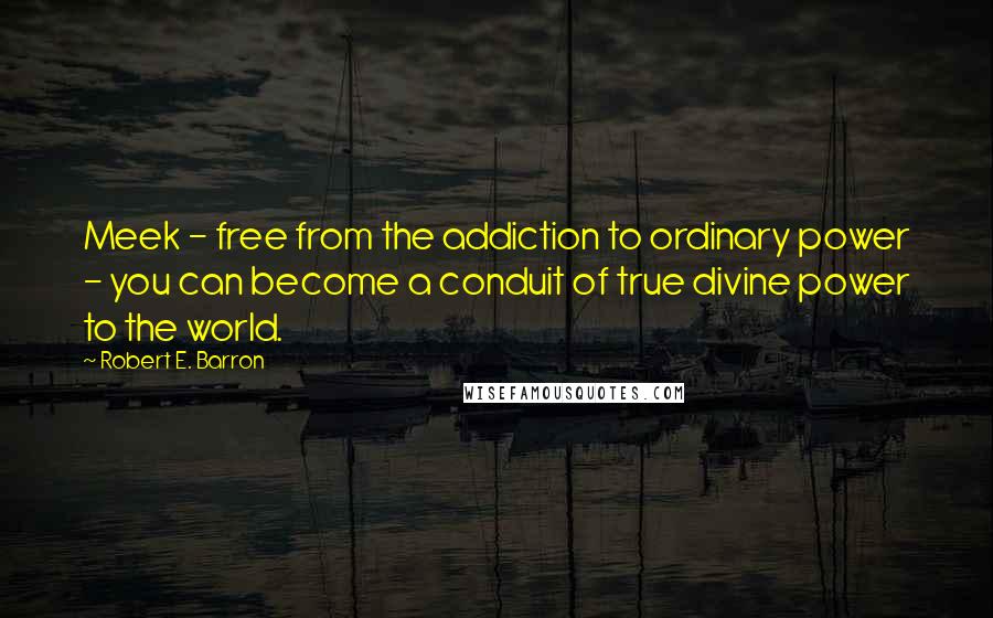 Robert E. Barron Quotes: Meek - free from the addiction to ordinary power - you can become a conduit of true divine power to the world.