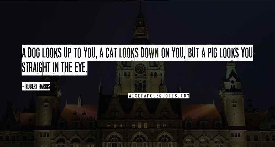 Robert Harris Quotes: A dog looks up to you, a cat looks down on you, but a pig looks you straight in the eye.