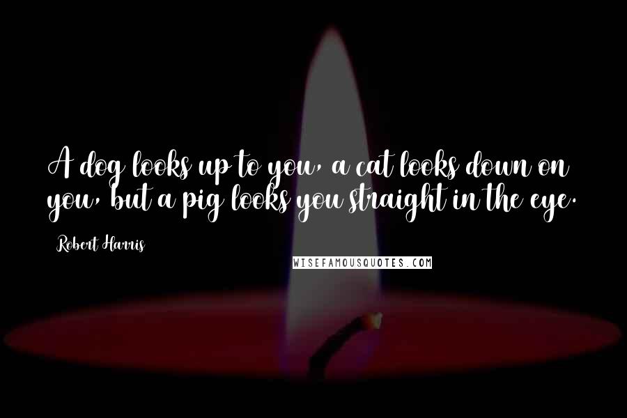 Robert Harris Quotes: A dog looks up to you, a cat looks down on you, but a pig looks you straight in the eye.