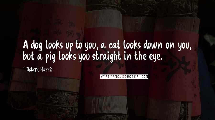 Robert Harris Quotes: A dog looks up to you, a cat looks down on you, but a pig looks you straight in the eye.