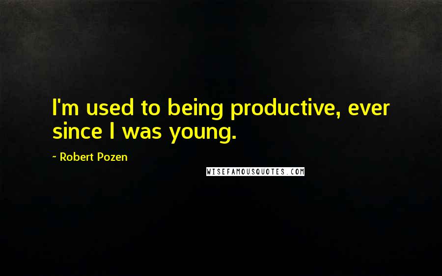 Robert Pozen Quotes: I'm used to being productive, ever since I was young.