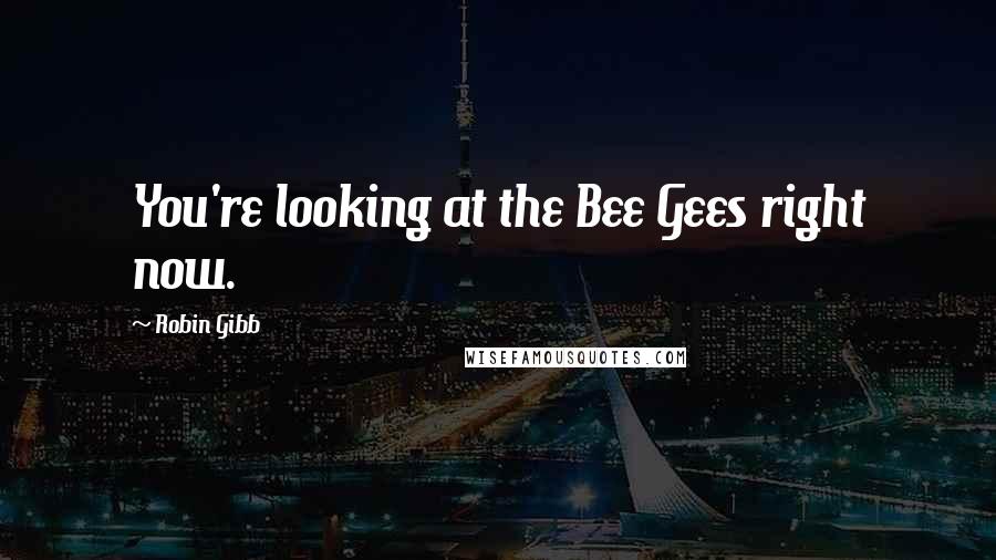 Robin Gibb Quotes: You're looking at the Bee Gees right now.