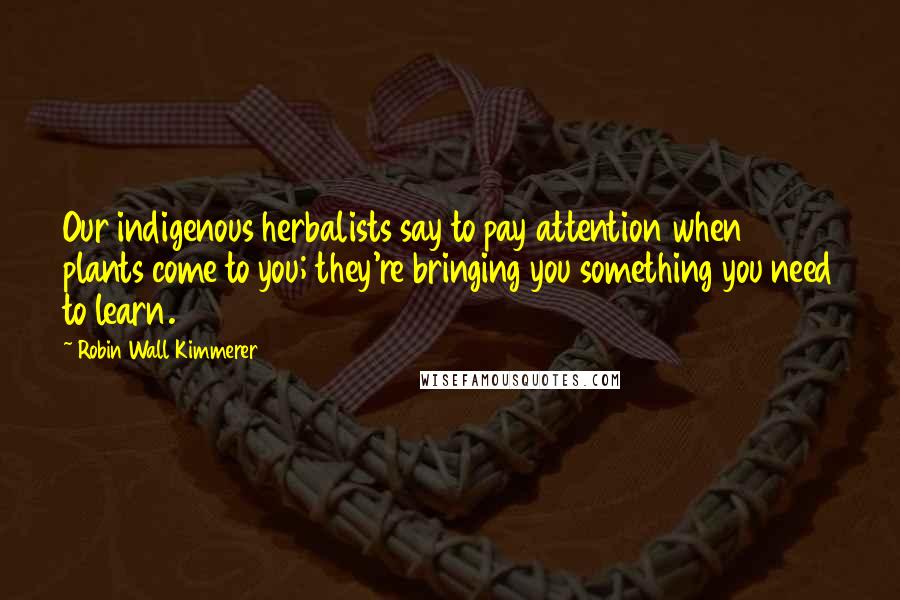 Robin Wall Kimmerer Quotes: Our indigenous herbalists say to pay attention when plants come to you; they're bringing you something you need to learn.