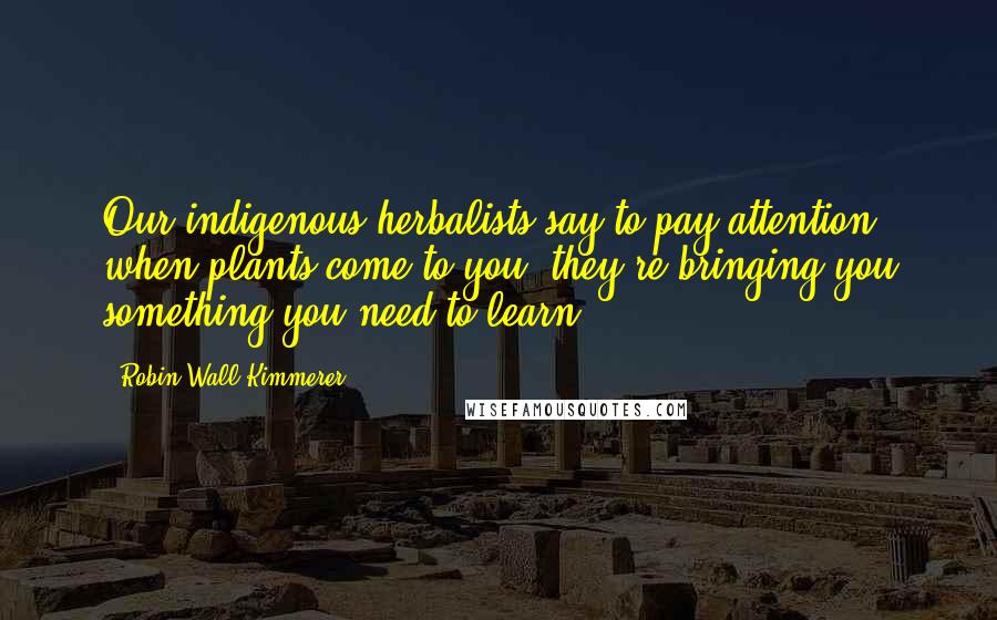 Robin Wall Kimmerer Quotes: Our indigenous herbalists say to pay attention when plants come to you; they're bringing you something you need to learn.