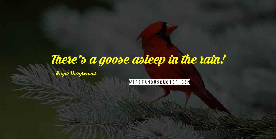 Roger Hargreaves Quotes: There's a goose asleep in the rain!