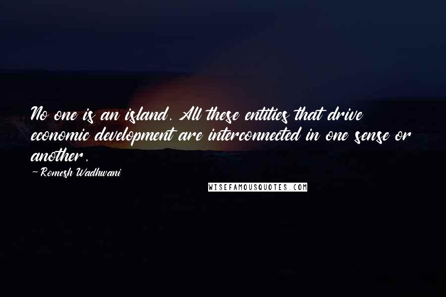 Romesh Wadhwani Quotes: No one is an island. All these entities that drive economic development are interconnected in one sense or another.