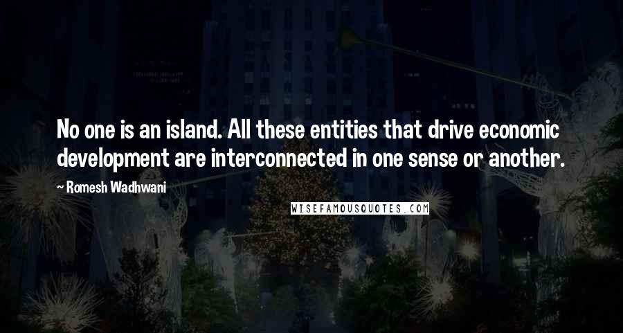 Romesh Wadhwani Quotes: No one is an island. All these entities that drive economic development are interconnected in one sense or another.