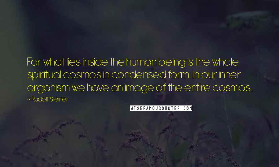 Rudolf Steiner Quotes: For what lies inside the human being is the whole spiritual cosmos in condensed form. In our inner organism we have an image of the entire cosmos.