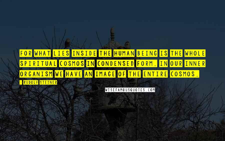 Rudolf Steiner Quotes: For what lies inside the human being is the whole spiritual cosmos in condensed form. In our inner organism we have an image of the entire cosmos.