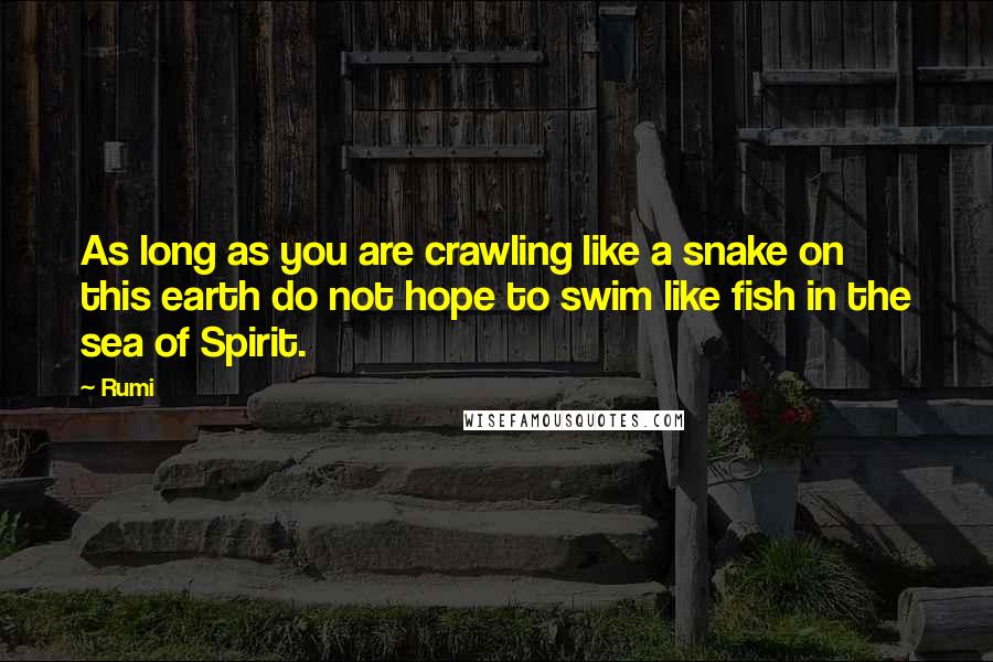 Rumi Quotes: As long as you are crawling like a snake on this earth do not hope to swim like fish in the sea of Spirit.