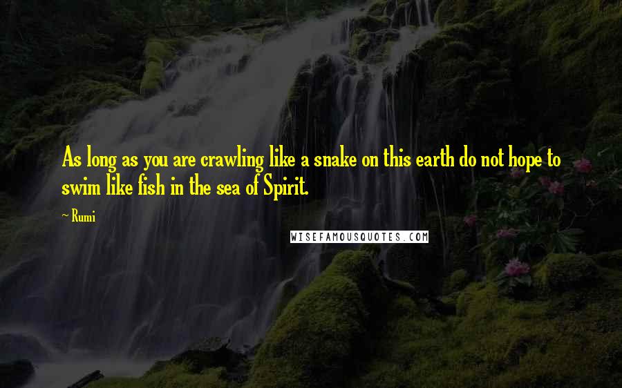 Rumi Quotes: As long as you are crawling like a snake on this earth do not hope to swim like fish in the sea of Spirit.