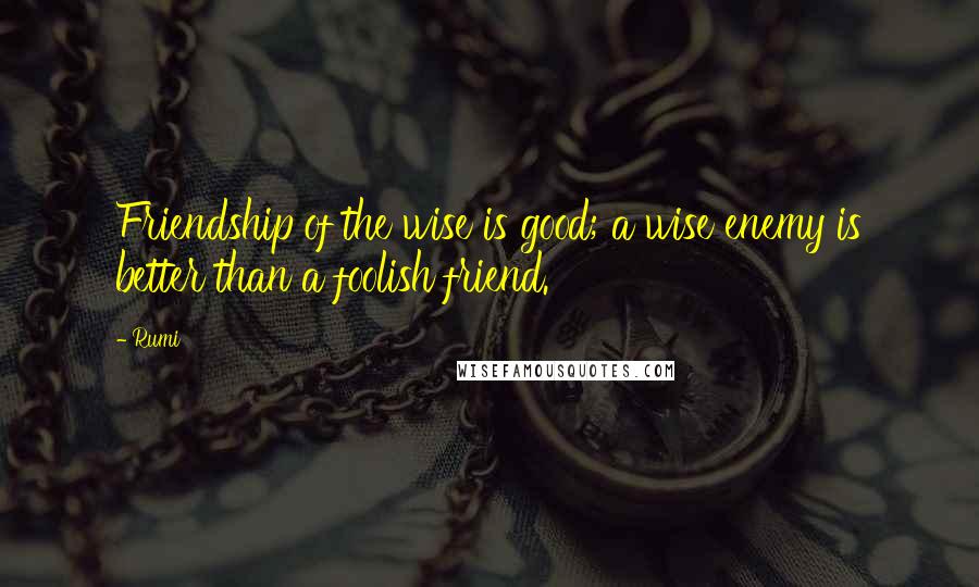 Rumi Quotes: Friendship of the wise is good; a wise enemy is better than a foolish friend.