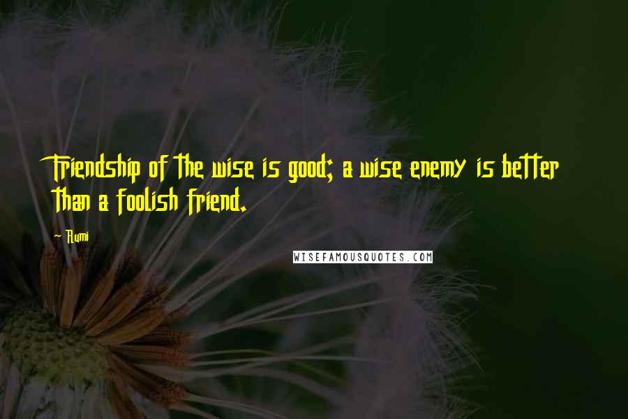 Rumi Quotes: Friendship of the wise is good; a wise enemy is better than a foolish friend.