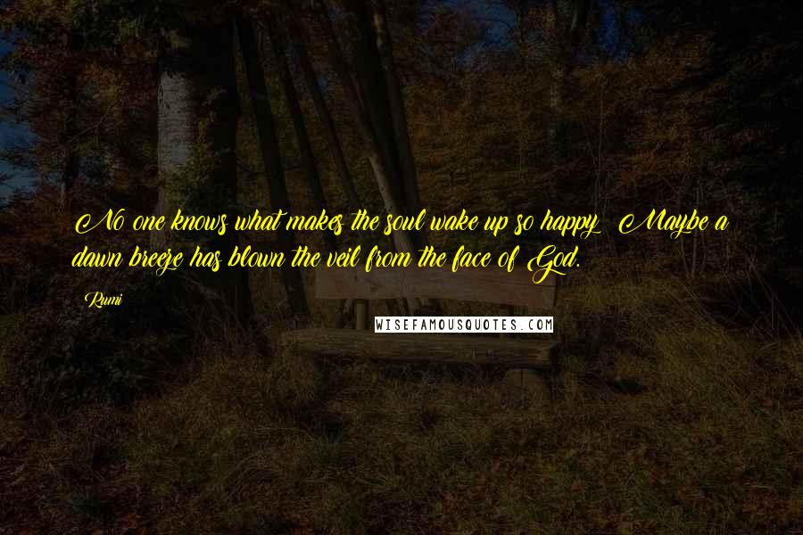 Rumi Quotes: No one knows what makes the soul wake up so happy! Maybe a dawn breeze has blown the veil from the face of God.