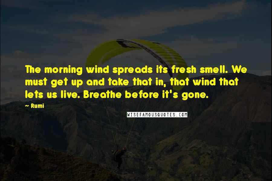 Rumi Quotes: The morning wind spreads its fresh smell. We must get up and take that in, that wind that lets us live. Breathe before it's gone.