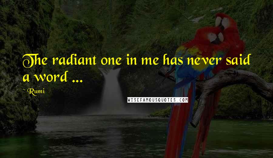 Rumi Quotes: The radiant one in me has never said a word ...