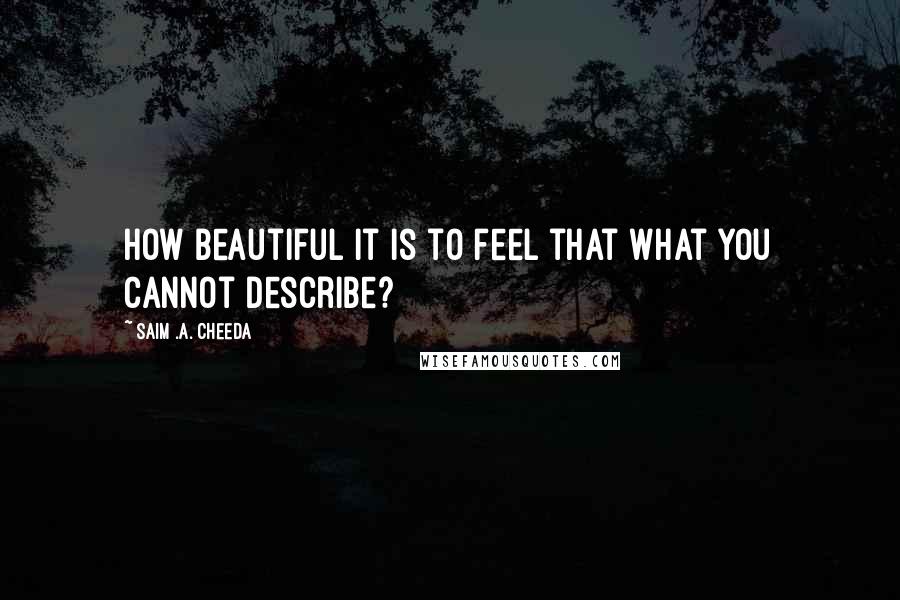 Saim .A. Cheeda Quotes: How beautiful it is to feel that what you cannot describe?