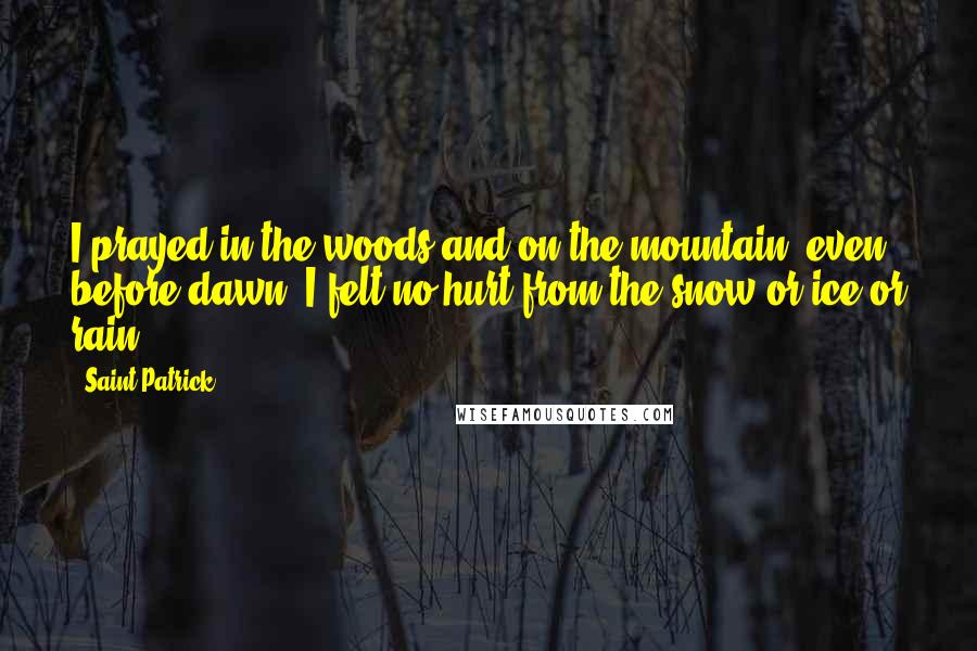 Saint Patrick Quotes: I prayed in the woods and on the mountain, even before dawn. I felt no hurt from the snow or ice or rain.