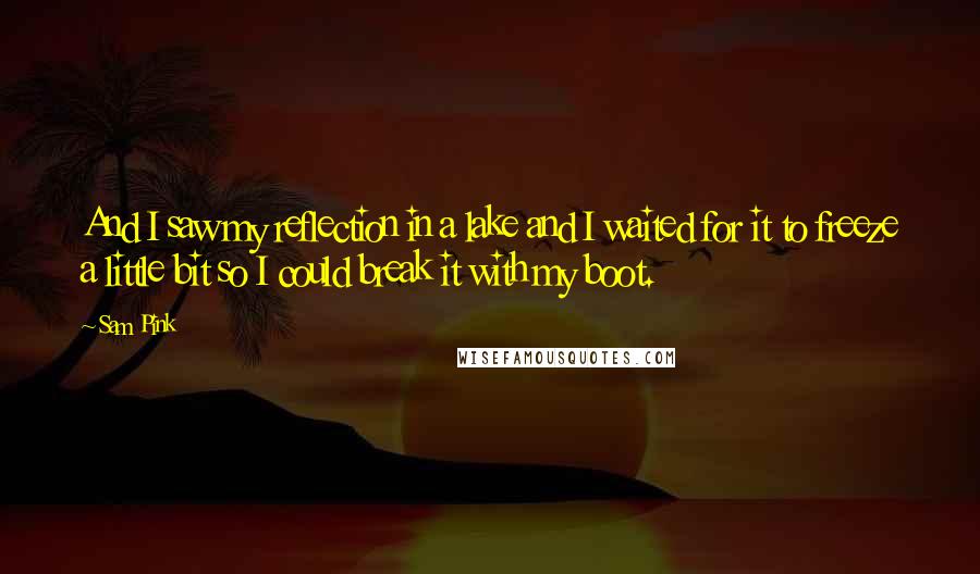 Sam Pink Quotes: And I saw my reflection in a lake and I waited for it to freeze a little bit so I could break it with my boot.