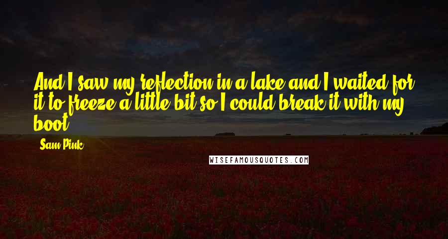 Sam Pink Quotes: And I saw my reflection in a lake and I waited for it to freeze a little bit so I could break it with my boot.