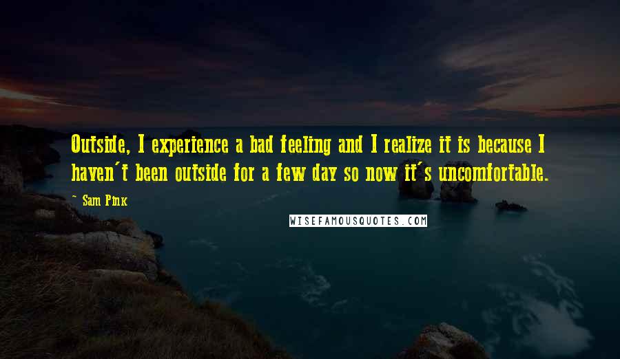 Sam Pink Quotes: Outside, I experience a bad feeling and I realize it is because I haven't been outside for a few day so now it's uncomfortable.