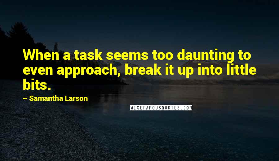 Samantha Larson Quotes: When a task seems too daunting to even approach, break it up into little bits.