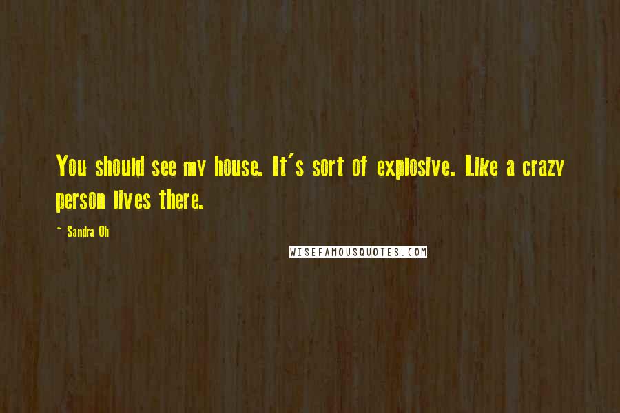 Sandra Oh Quotes: You should see my house. It's sort of explosive. Like a crazy person lives there.