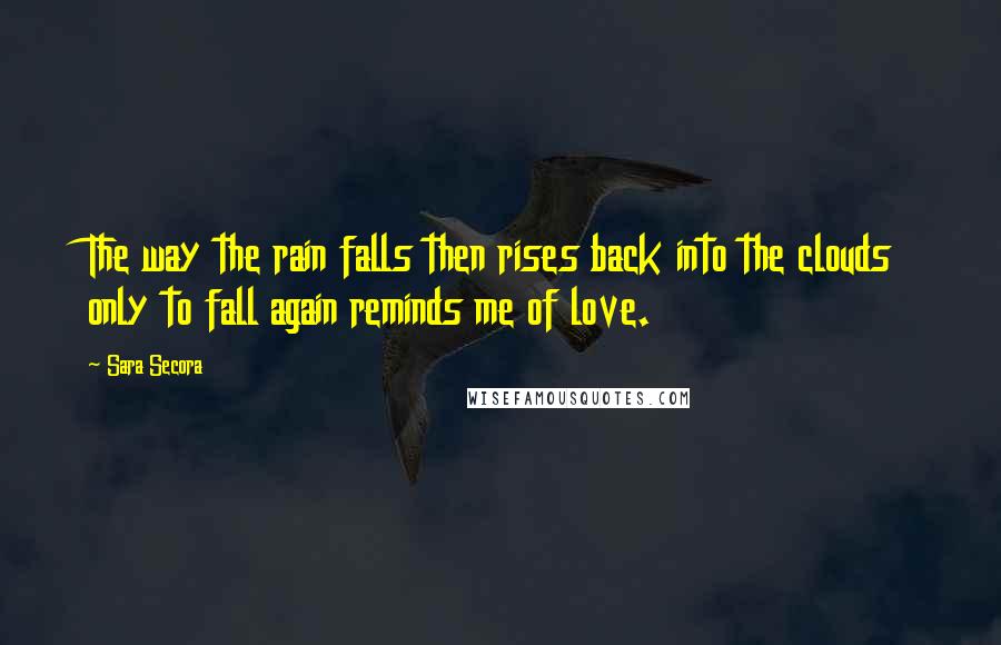 Sara Secora Quotes: The way the rain falls then rises back into the clouds only to fall again reminds me of love.