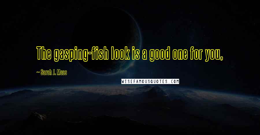 Sarah J. Maas Quotes: The gasping-fish look is a good one for you,