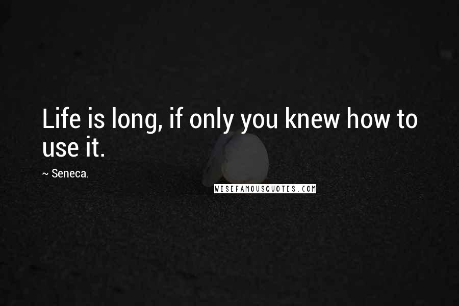 Seneca. Quotes: Life is long, if only you knew how to use it.