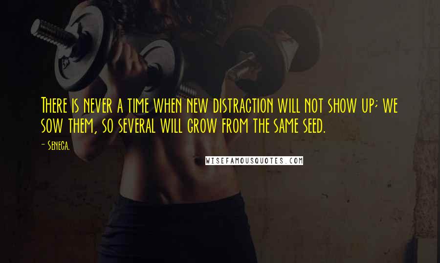 Seneca. Quotes: There is never a time when new distraction will not show up; we sow them, so several will grow from the same seed.