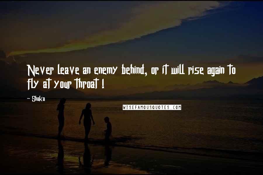 Shaka Quotes: Never leave an enemy behind, or it will rise again to fly at your throat !