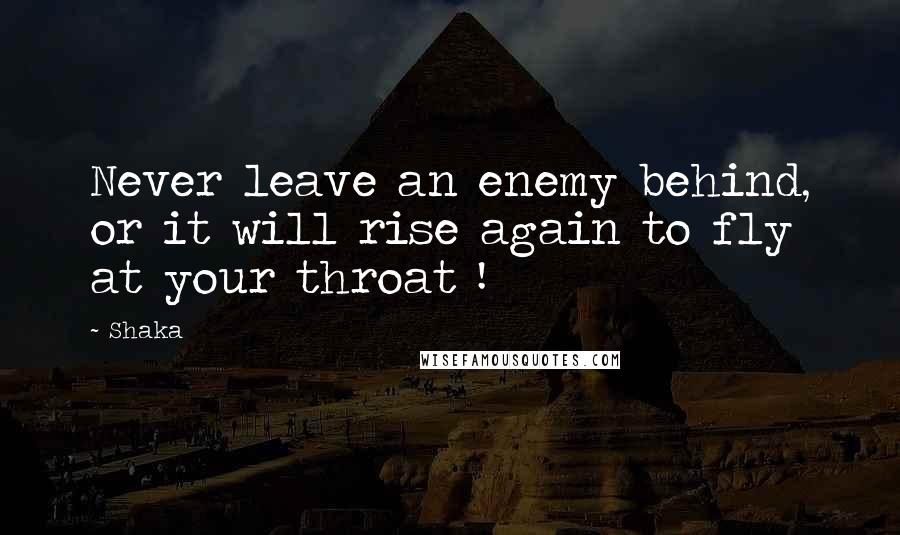 Shaka Quotes: Never leave an enemy behind, or it will rise again to fly at your throat !