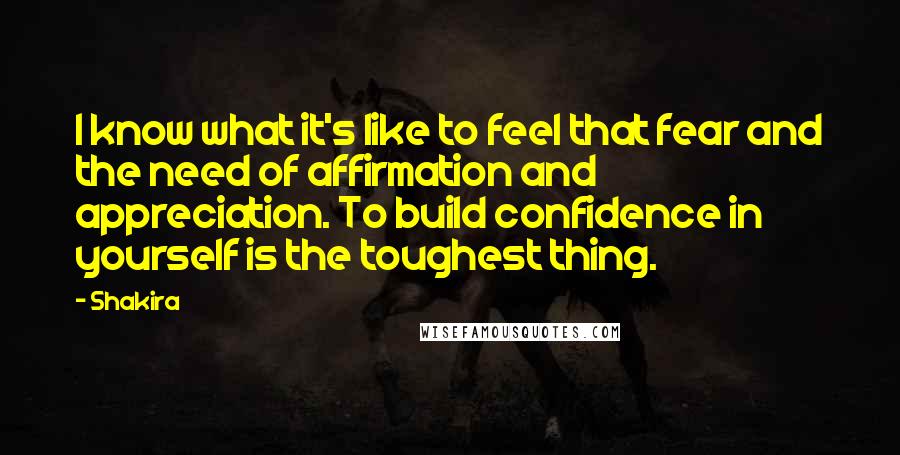 Shakira Quotes: I know what it's like to feel that fear and the need of affirmation and appreciation. To build confidence in yourself is the toughest thing.