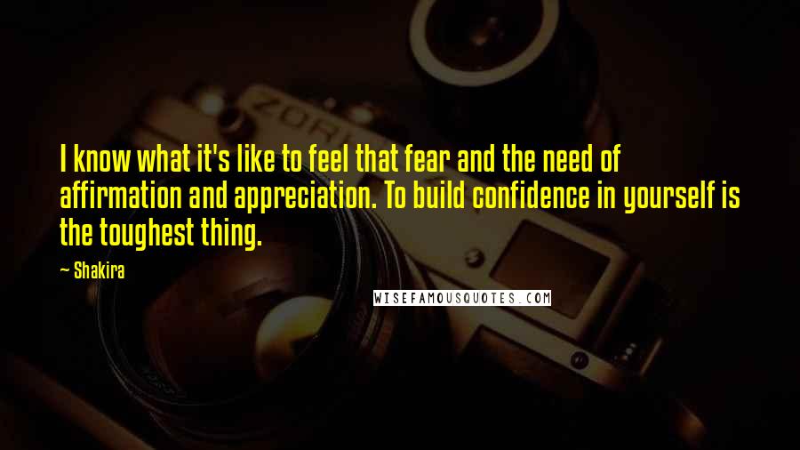 Shakira Quotes: I know what it's like to feel that fear and the need of affirmation and appreciation. To build confidence in yourself is the toughest thing.