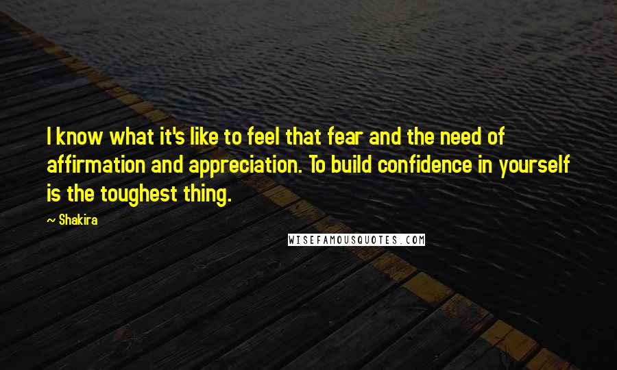 Shakira Quotes: I know what it's like to feel that fear and the need of affirmation and appreciation. To build confidence in yourself is the toughest thing.